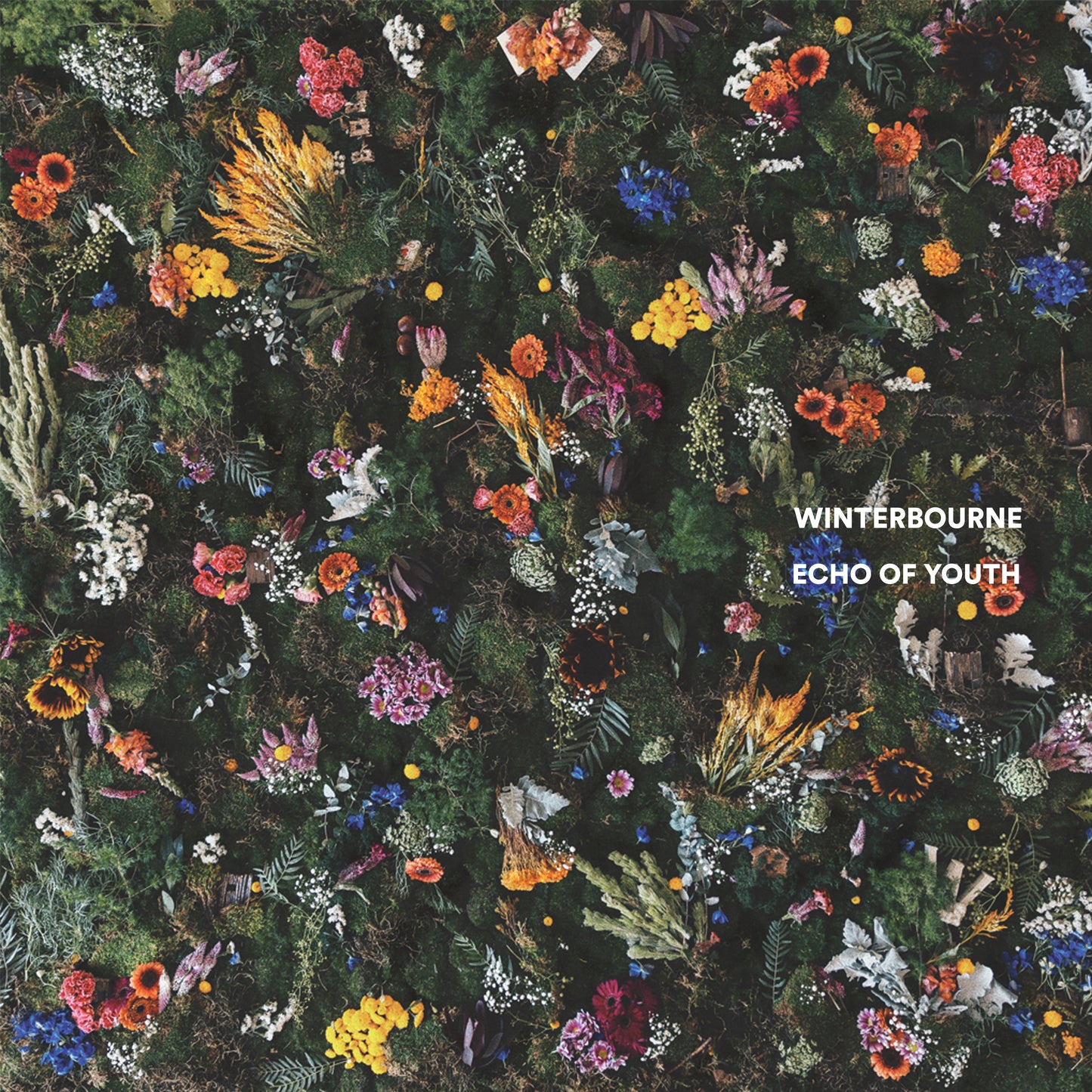 Echo Of Youth CD (In-Person)